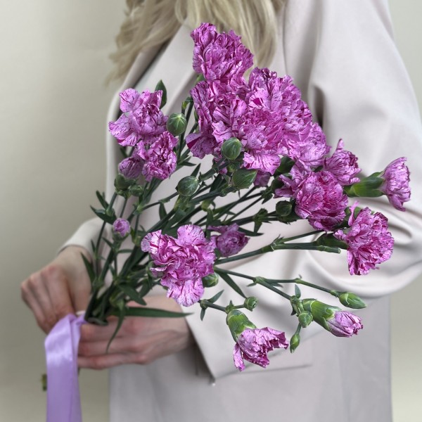 Букет из 5 сиреневых гвоздик с фиолетовой каймой