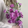 Букет из 5 сиреневых гвоздик с фиолетовой каймой