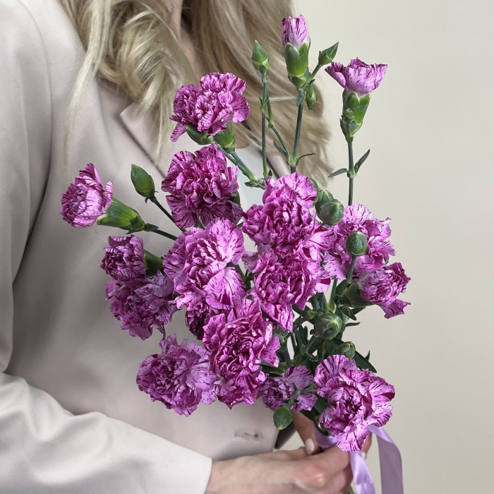 Букет из 5 сиреневых гвоздик с фиолетовой каймой