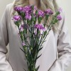 Букет из 5 сиреневых гвоздик с фиолетовой каймой