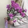 Букет из 5 сиреневых гвоздик с фиолетовой каймой