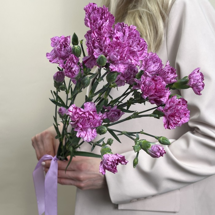 Букет из 5 сиреневых гвоздик с фиолетовой каймой