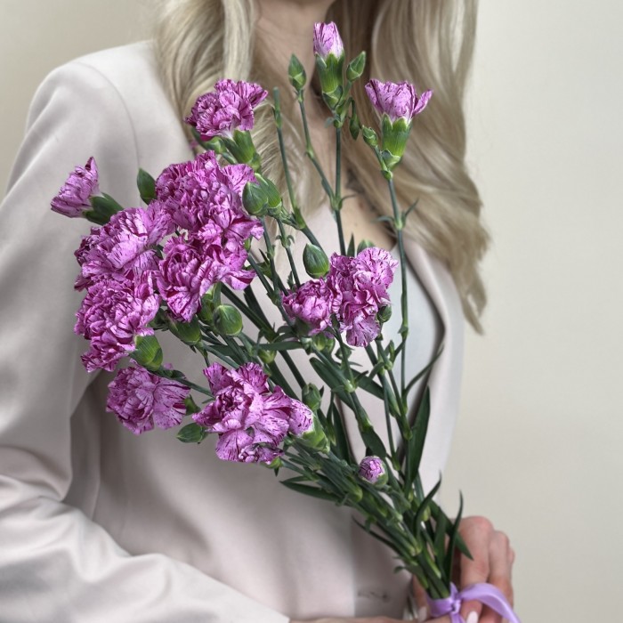 Букет из 5 сиреневых гвоздик с фиолетовой каймой