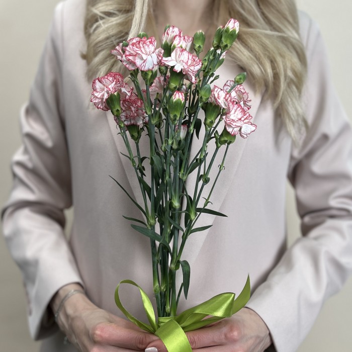 Букет из 5 белых гвоздик с красной каймой