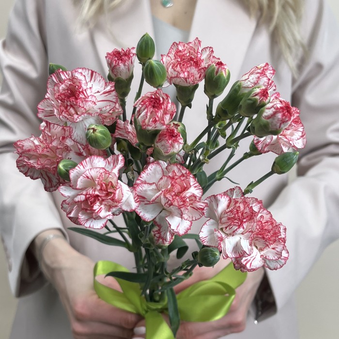 Букет из 5 белых гвоздик с красной каймой