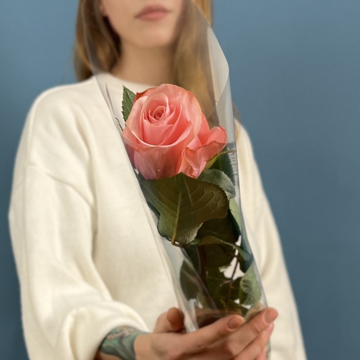 1 розовая роза Би Свит 70 см