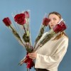 1 длинная красная роза Хартс 70 см