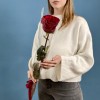 1 длинная красная роза Хартс 70 см