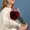 1 длинная красная роза Хартс 70 см
