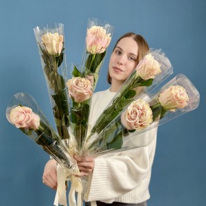 1 розовая роза Пинк Мондиаль 70 см