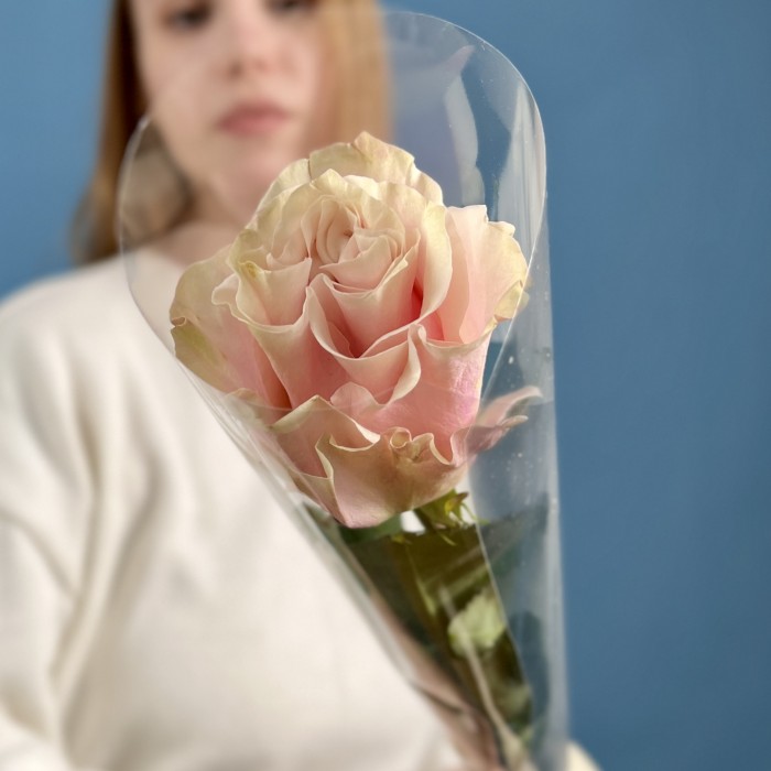 1 розовая роза Пинк Мондиаль 70 см