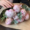 Букет из 7 розовых пионов Сара Бернар с эвкалиптом
