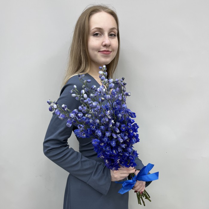 9 пышных синих дельфиниумов