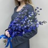 7 пышных синих дельфиниумов