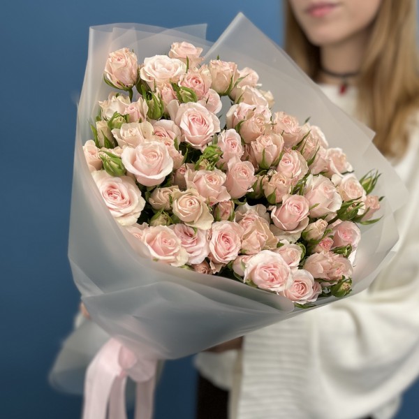 15 кремово-розовых роз Шелби 50 см