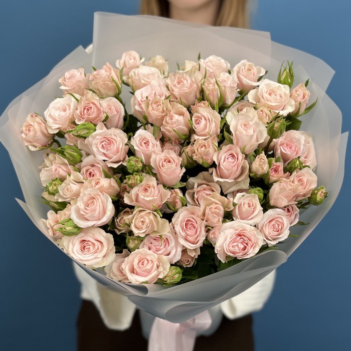 15 кремово-розовых роз Шелби 50 см