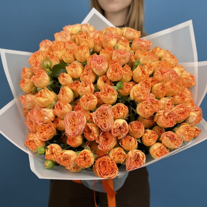 51 кустовая пионовидная Роза Оранж Трендсеттер 50 см