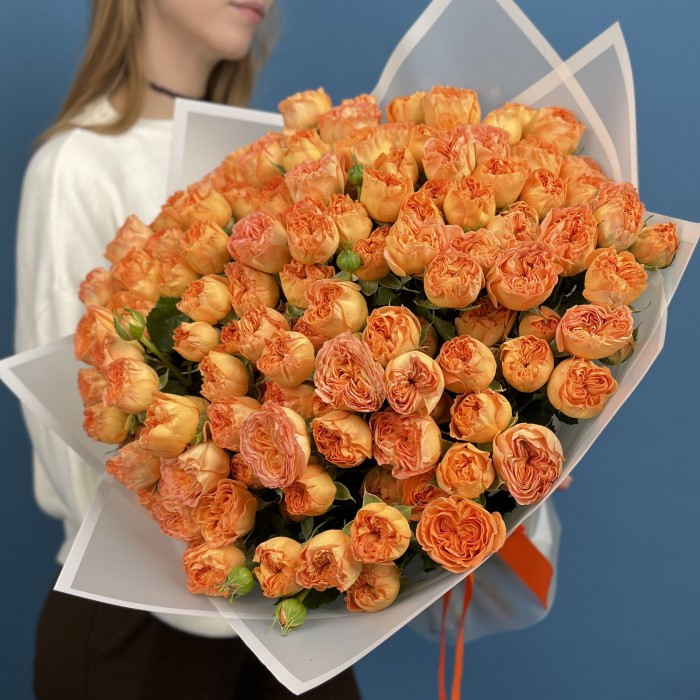 51 кустовая пионовидная Роза Оранж Трендсеттер 50 см