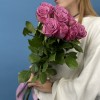 9 сиреневых роз Дип Перпл 60 см