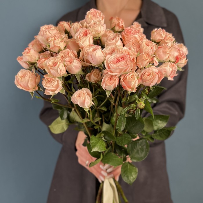 Кустовая пионовидная роза Беллалинда Парадайз 60 см