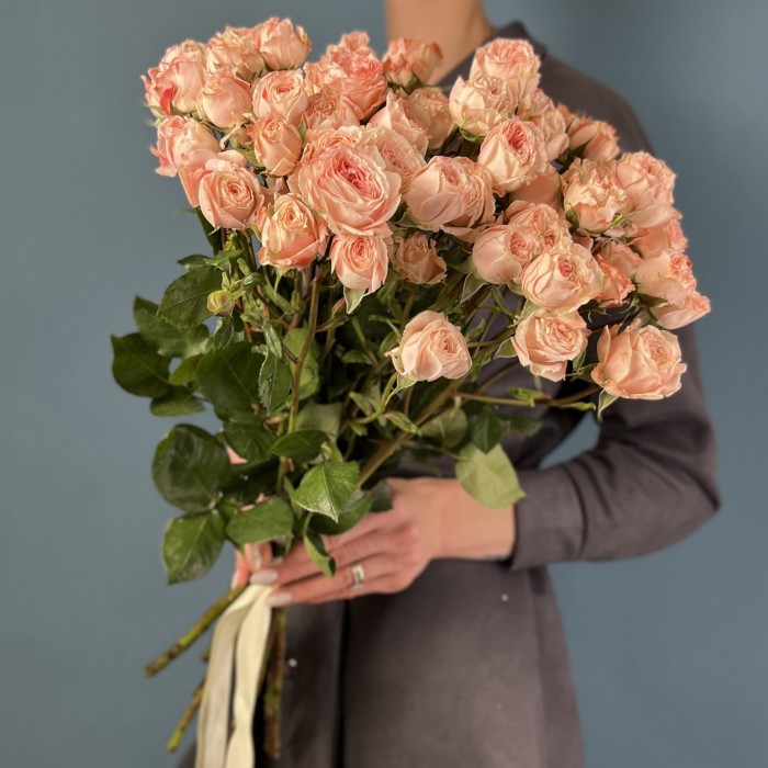 Кустовая пионовидная роза Беллалинда Парадайз 60 см