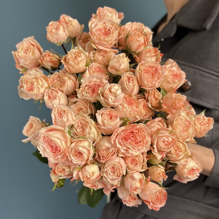 Кустовая пионовидная роза Беллалинда Парадайз 60 см