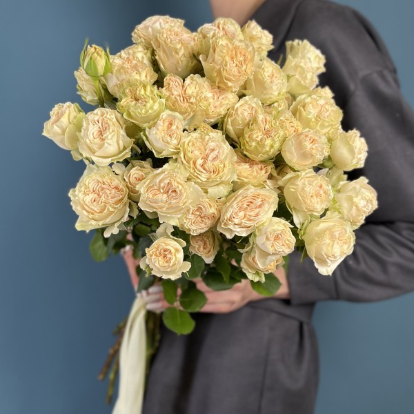 Кустовая пионовидная роза Саммер-роз 50 см