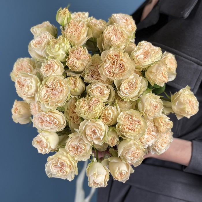 Кустовая пионовидная роза Саммер-роз 50 см