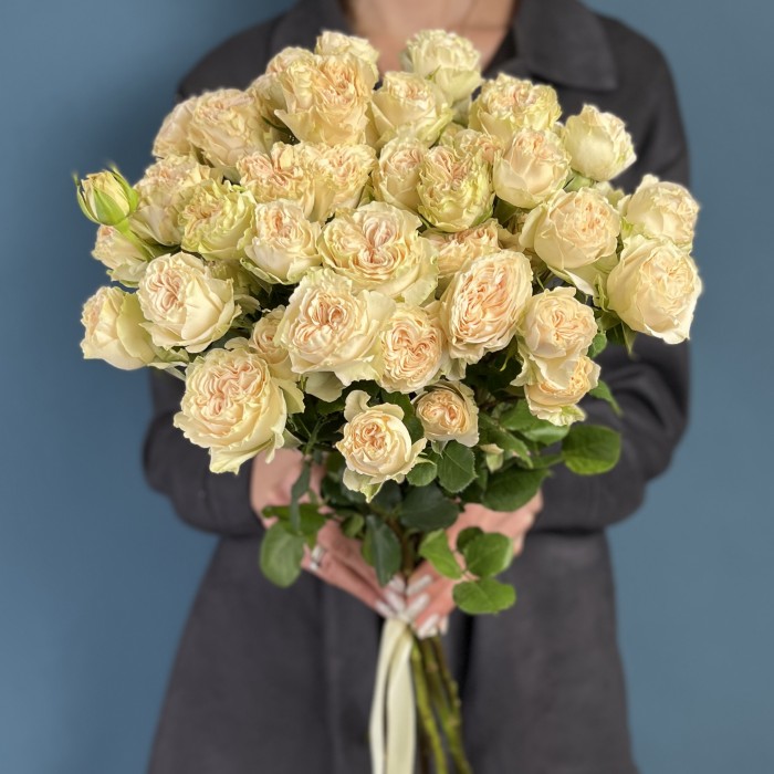 Кустовая пионовидная роза Саммер-роз 50 см