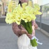 29 калл Шампань