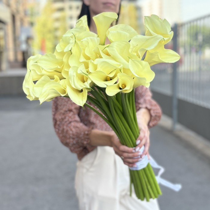 29 калл Шампань