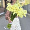 29 калл Шампань