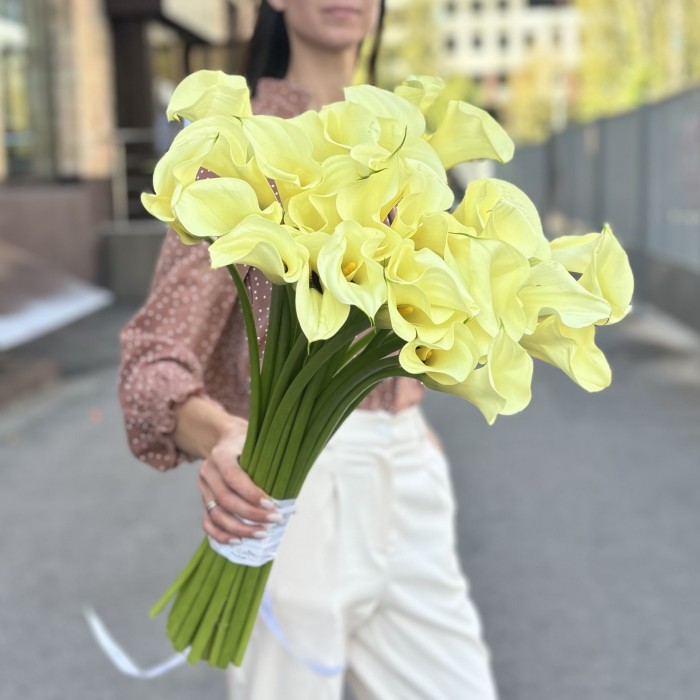 29 калл Шампань