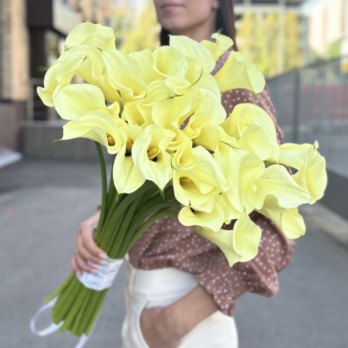 29 калл Шампань