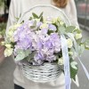 Лавандовые гортензии с кустовой розой в корзине