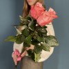 3 розовые розы Би Свит 80 см