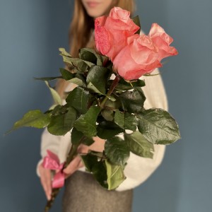 3 розовые розы Би Свит 80 см