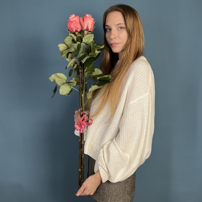 3 розовые розы Би Свит 80 см