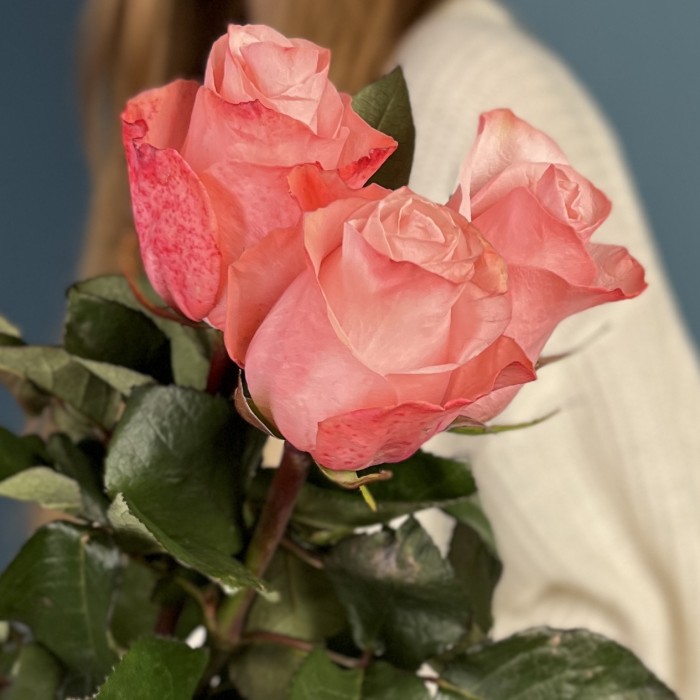 3 розовые розы Би Свит 80 см