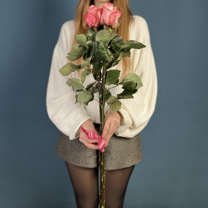 3 розовые розы Би Свит 80 см