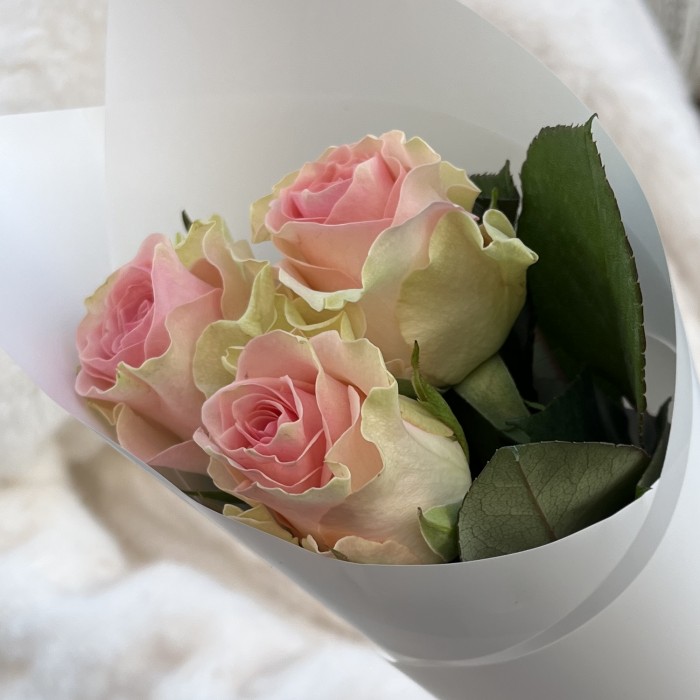 3 нежно-розовые розы Топ-гир 50 см