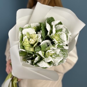 3 заснеженные брассики