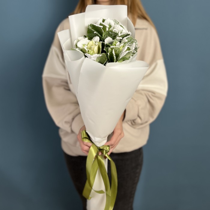 3 заснеженные брассики