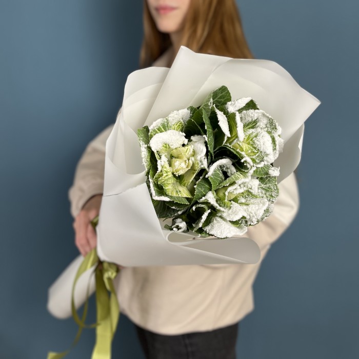 3 заснеженные брассики