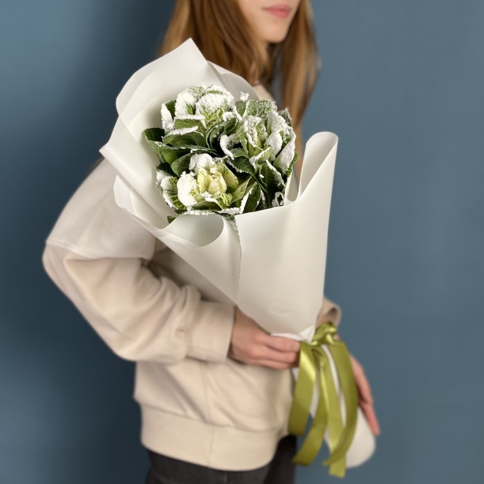 3 заснеженные брассики