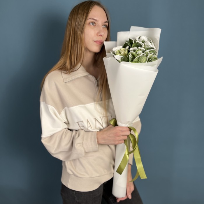 3 заснеженные брассики