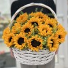 27 подсолнухов с гринбеллом в корзине