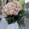 Роза Пинк Мондиаль 60 см