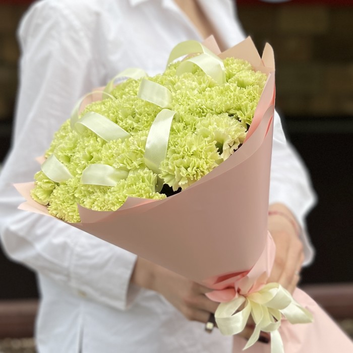 29 нежно-зеленых гвоздик