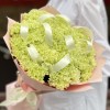 29 нежно-зеленых гвоздик